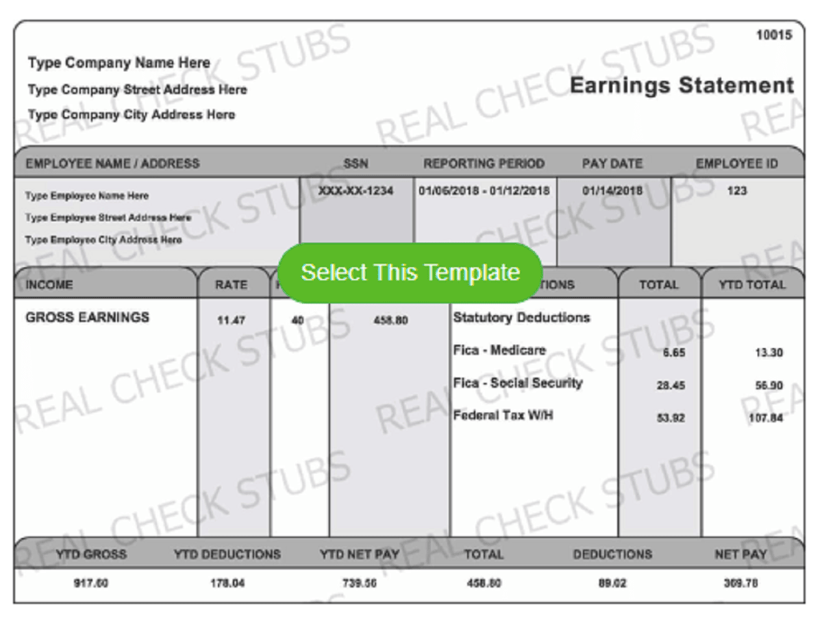 Half page pay stub template